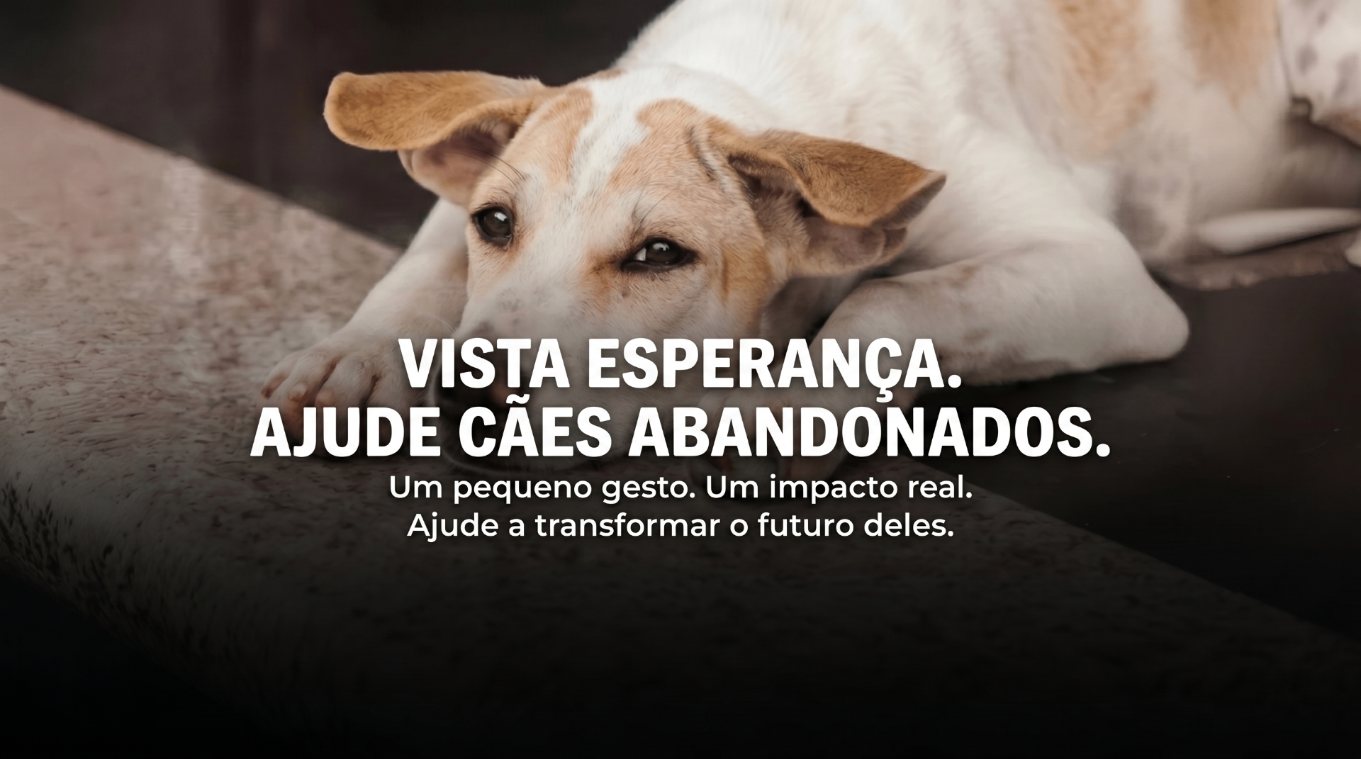 Pulso com pulseira UmaPata sobre a cabeça de um cachorro